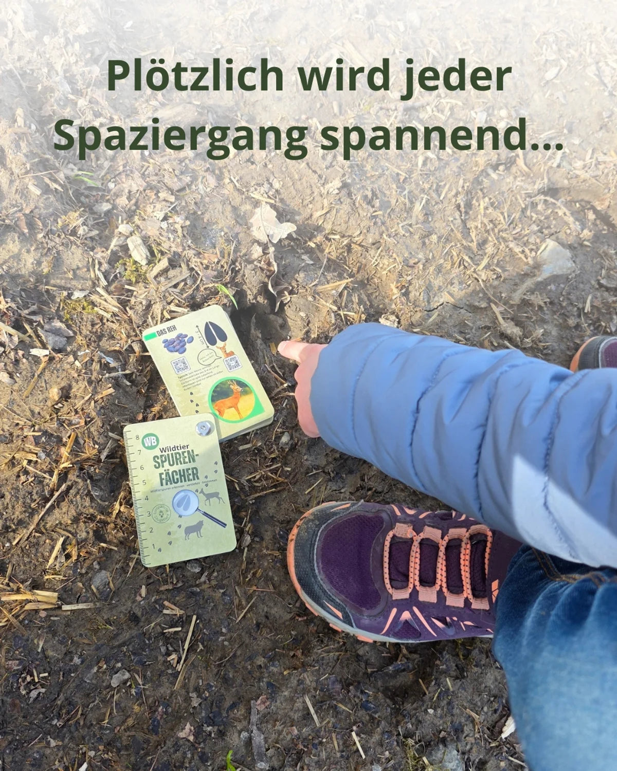 Wildtier-Spurenfächer – Outdoor Edition (gedruckt)