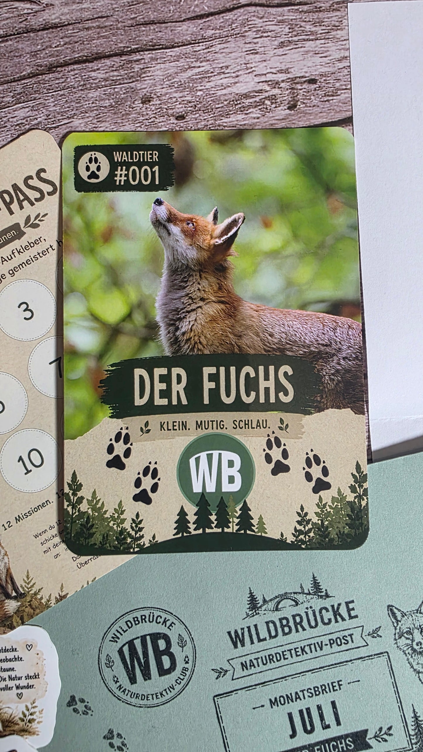 Naturdetektiv-Club – Die monatliche Naturpost für neugierige Kinder