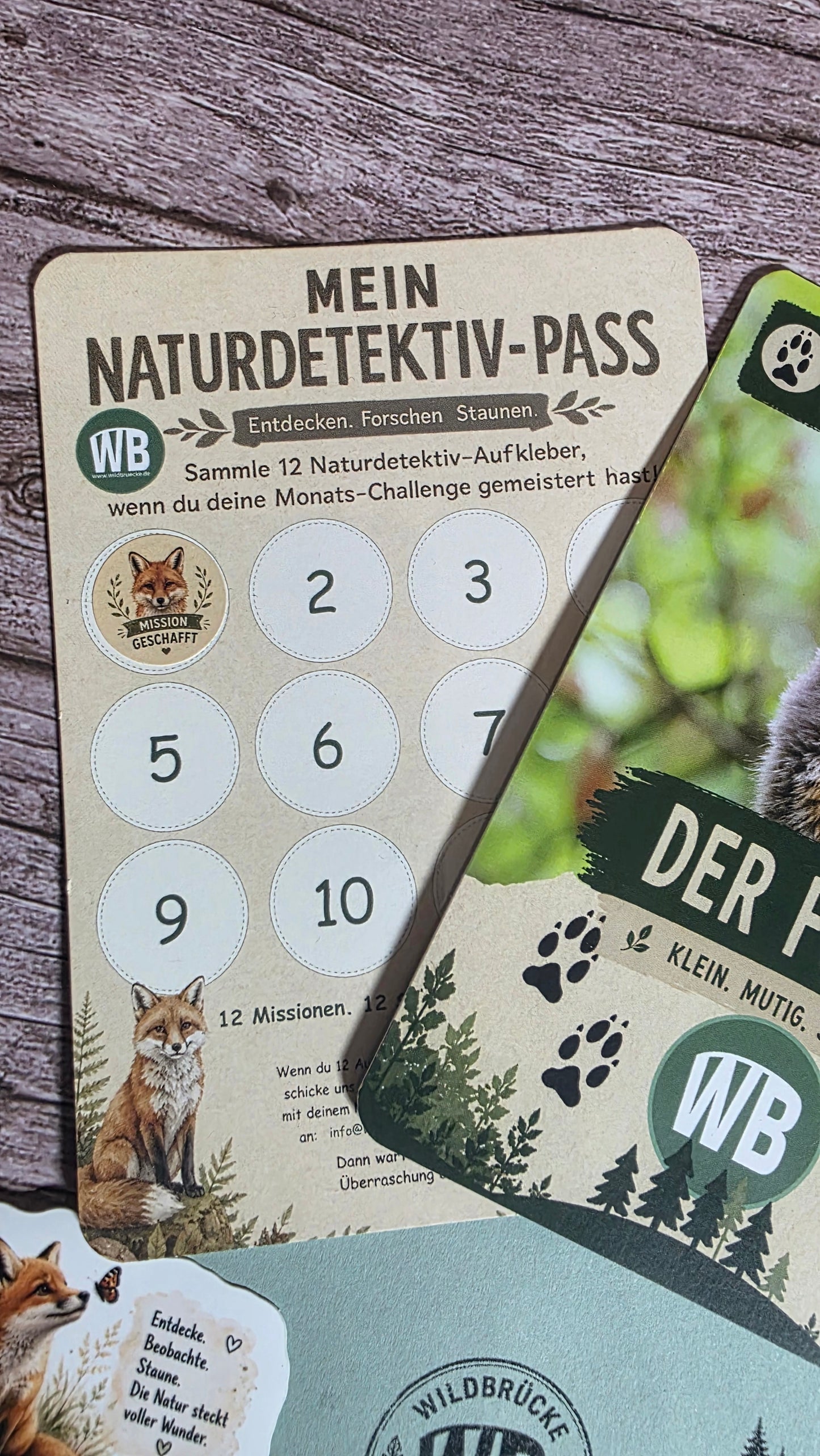 Naturdetektiv-Club – Die monatliche Naturpost für neugierige Kinder