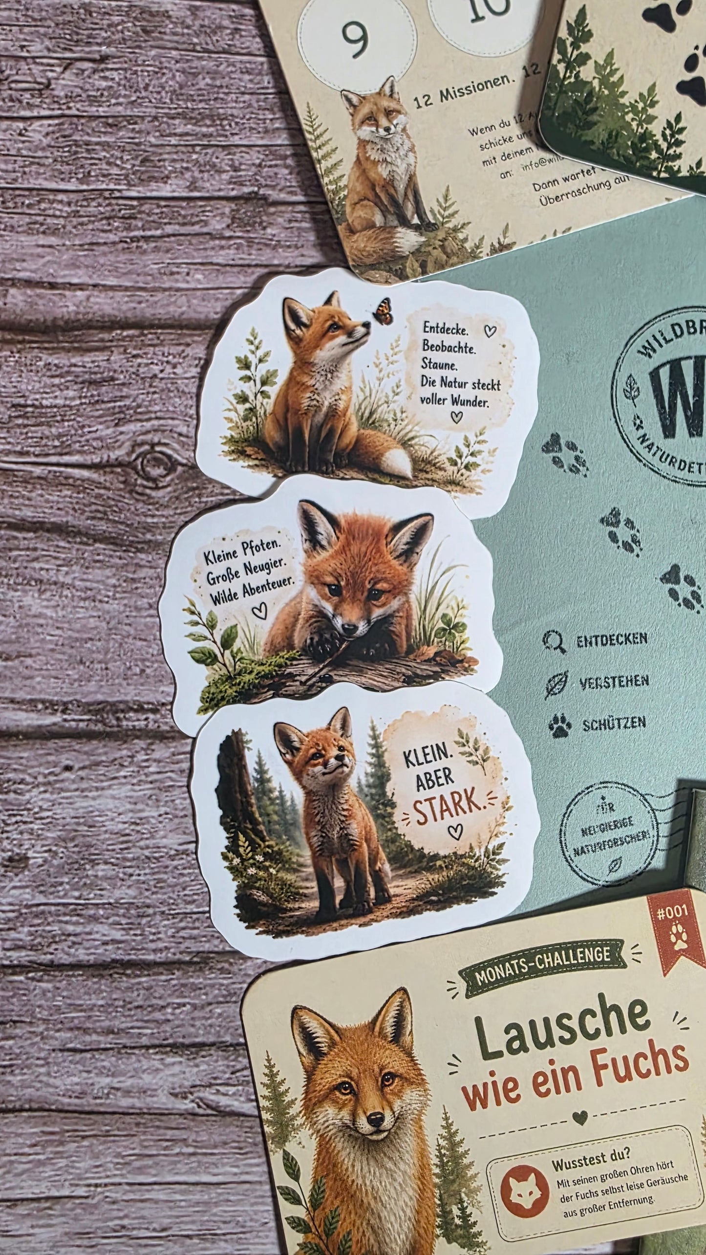 Naturdetektiv-Club – Die monatliche Naturpost für neugierige Kinder