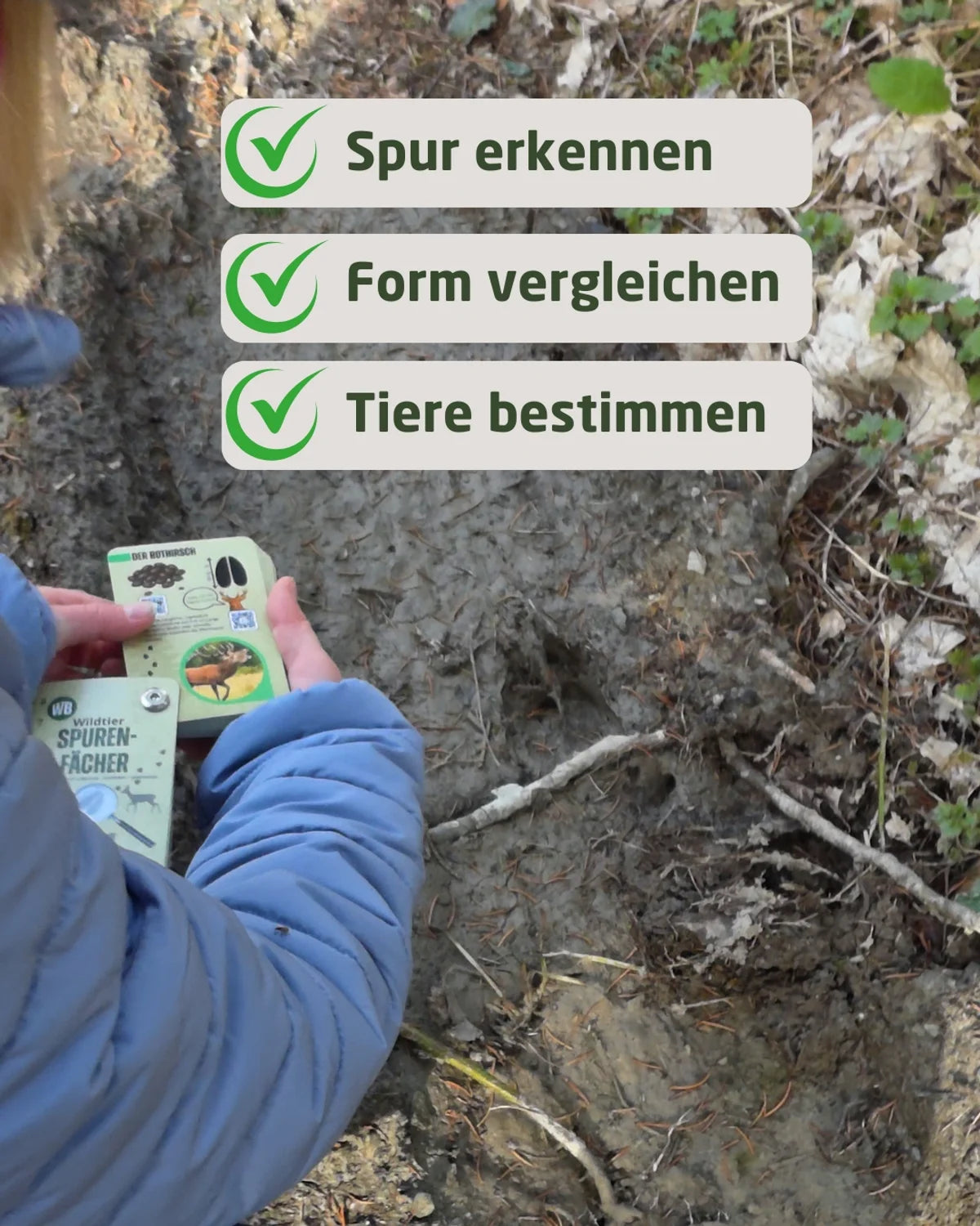 Wildtier-Spurenfächer – Outdoor Edition (gedruckt)