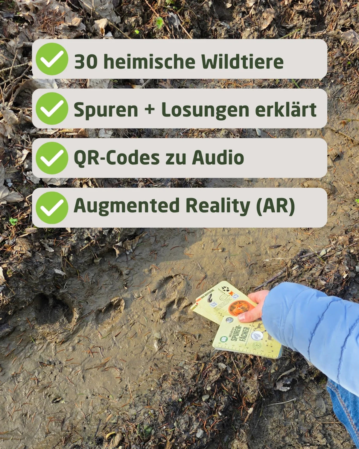 Familien-Set – 2× Spurenfächer, 2× Vogelfächer & 2× Spurenkarten
