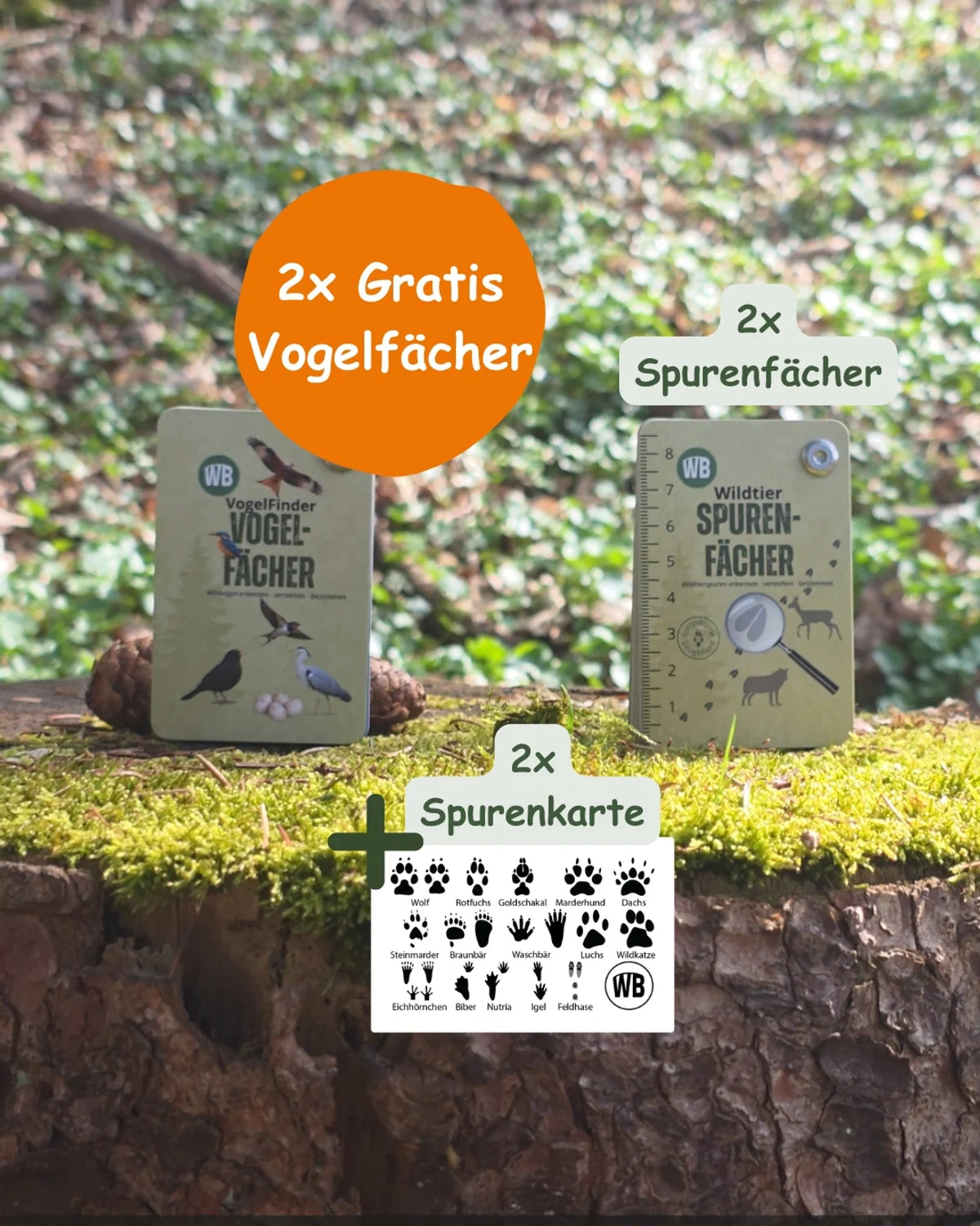 Familien-Set – 2× Spurenfächer, 2× Vogelfächer & 2× Spurenkarten