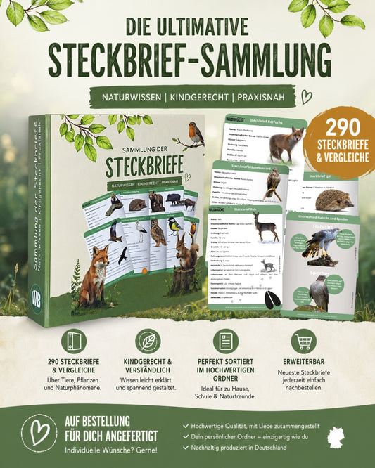 Wildtier-Steckbrief-Sammlung im Ordner – 290 Steckbriefe & Vergleiche