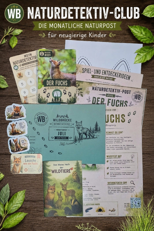 Naturdetektiv-Club – Die monatliche Naturpost für neugierige Kinder