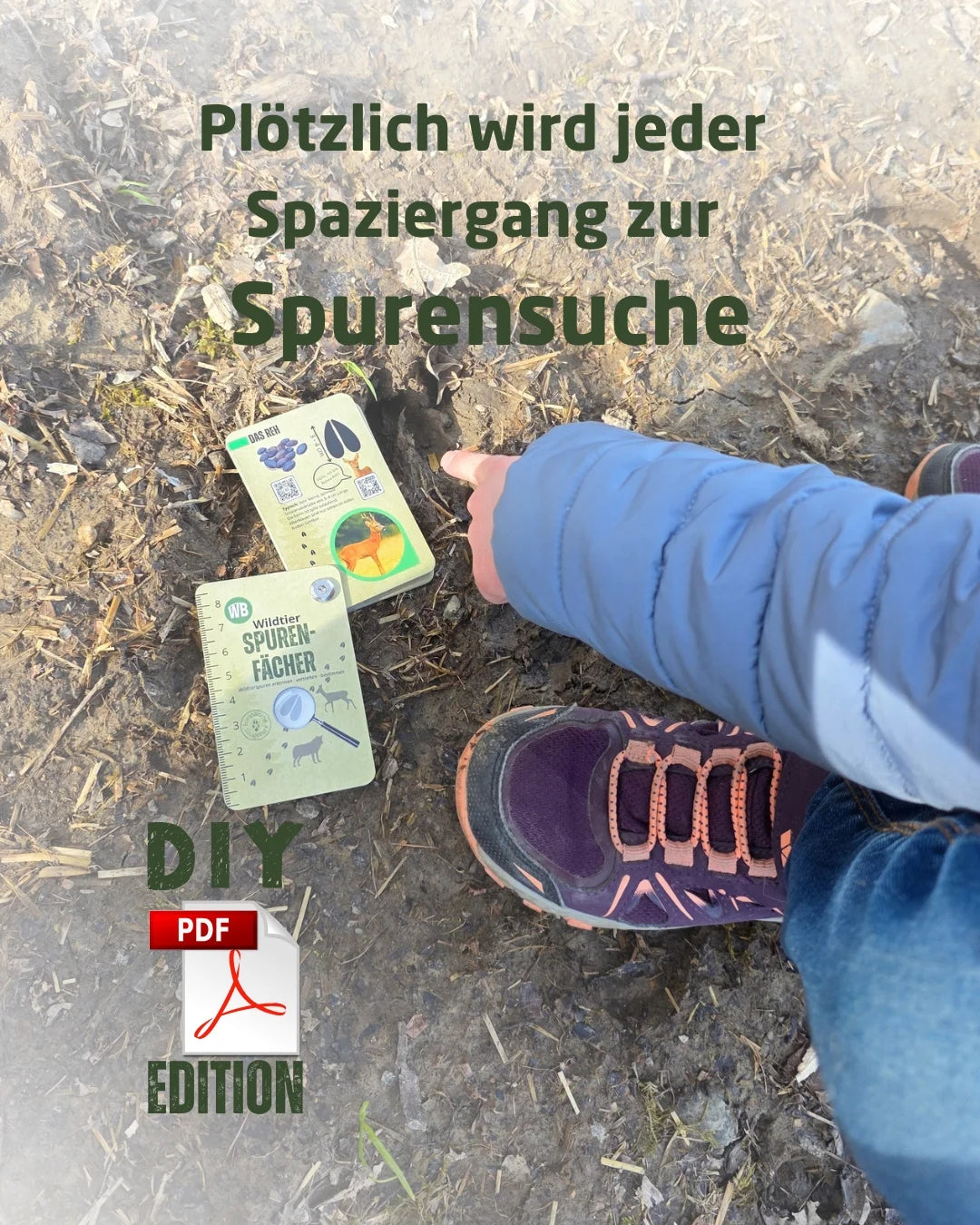 Wildtier-Spurenfächer (PDF zum Selberdrucken)