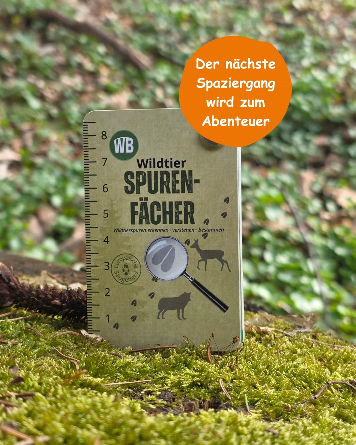 Wildtier-Spurenfächer – Outdoor Edition (gedruckt)